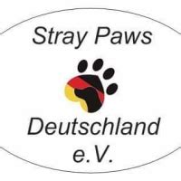 stray paws deutschland